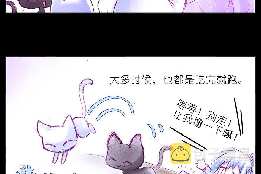 我家大师兄脑子有坑漫画,番外：忽然养只猫 六2图