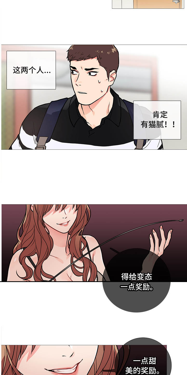 囚笼政策是什么战役漫画,第19章：猫腻1图