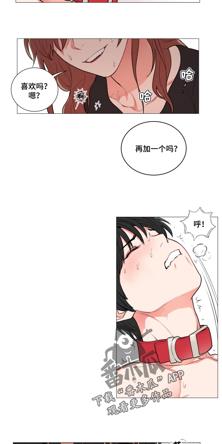 囚笼正传在哪看漫画,第101章：现在说不出口2图