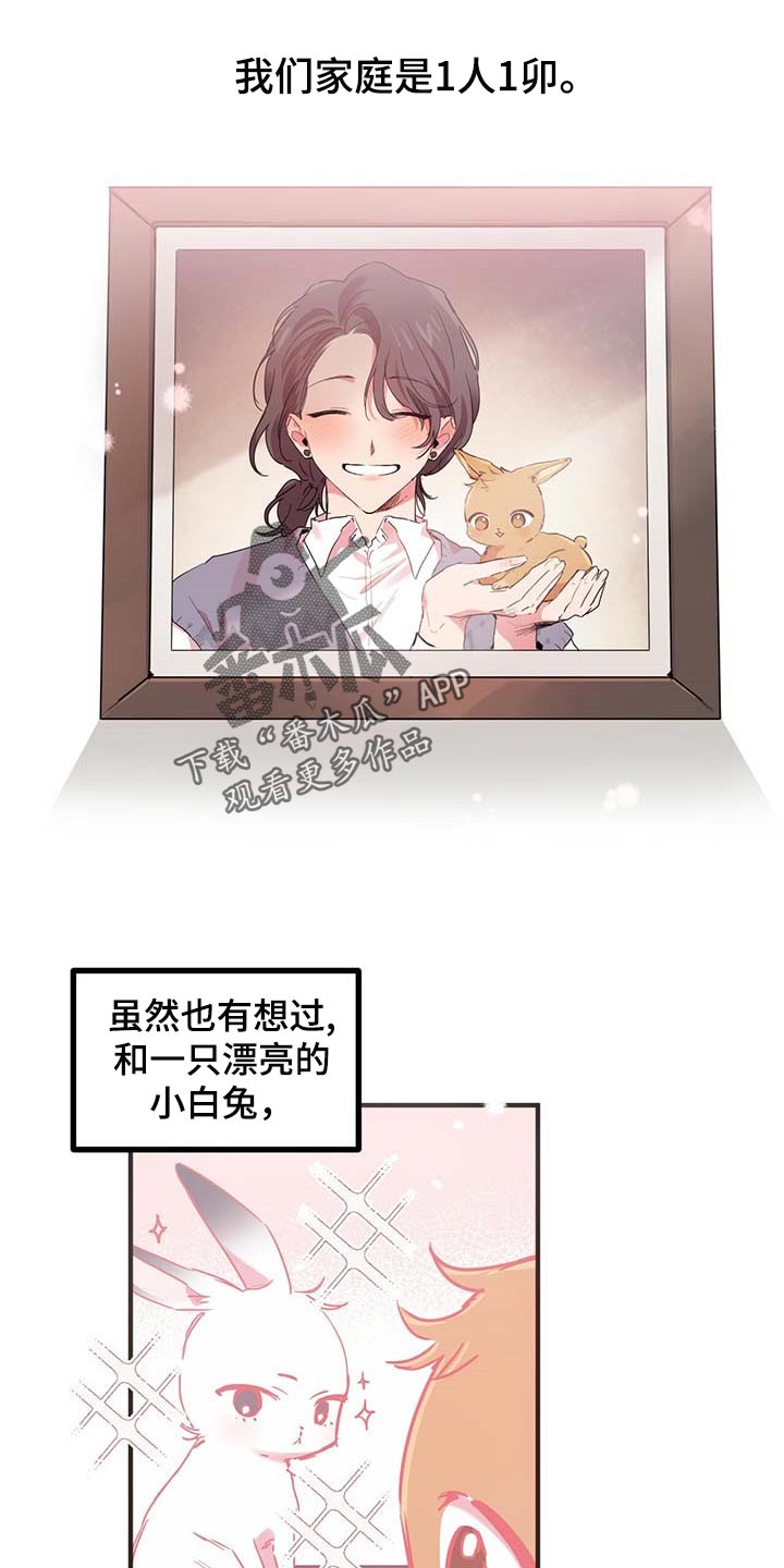 兔兔小媳妇漫画,第31章：这是为何呢？1图