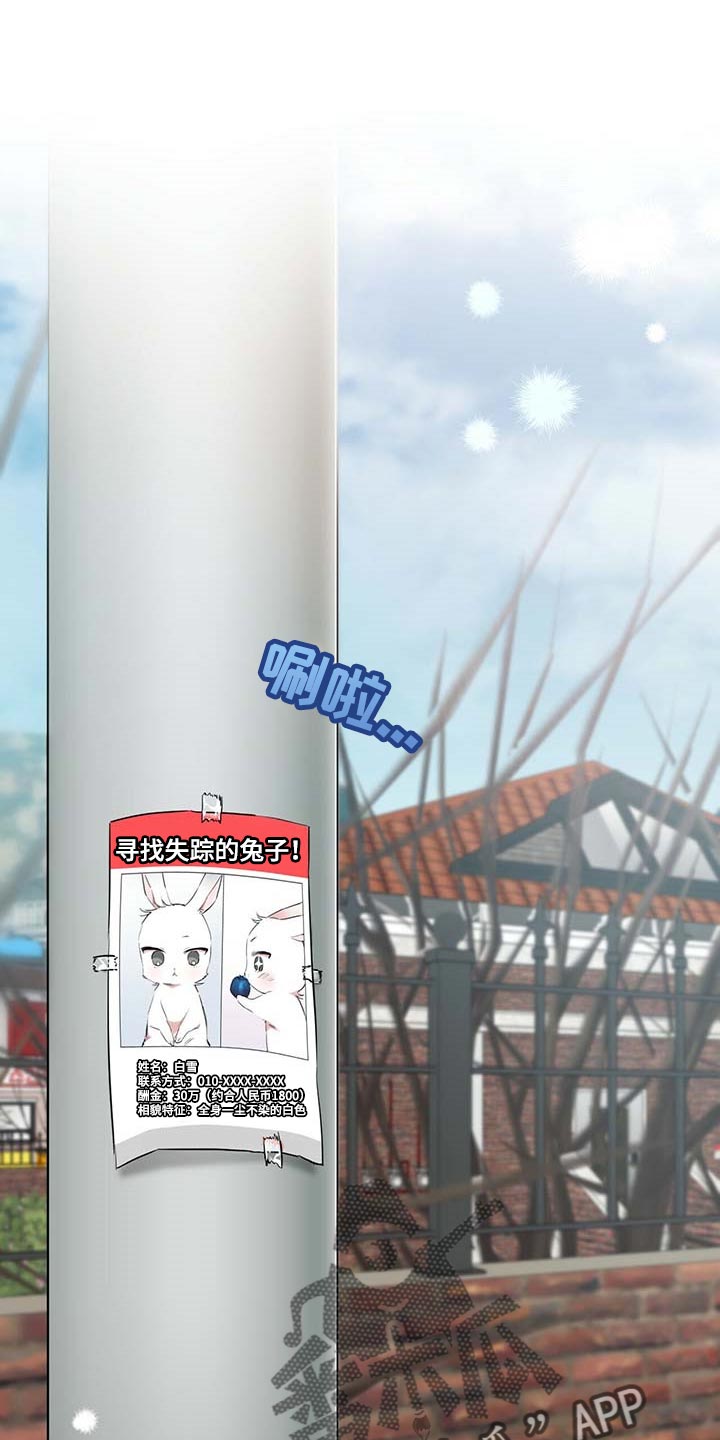 兔兔小媳妇漫画,第59章：孤独凄凉1图