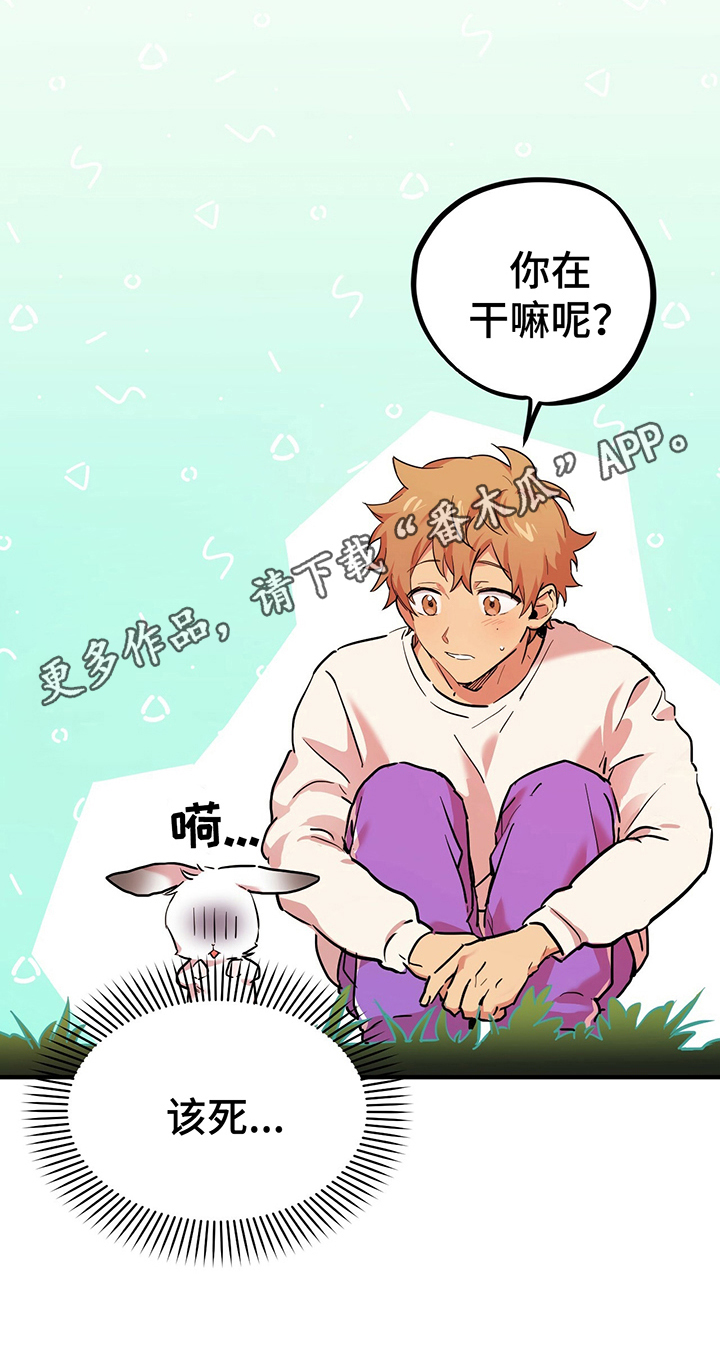 兔兔小媳妇漫画,第9章：名字2图