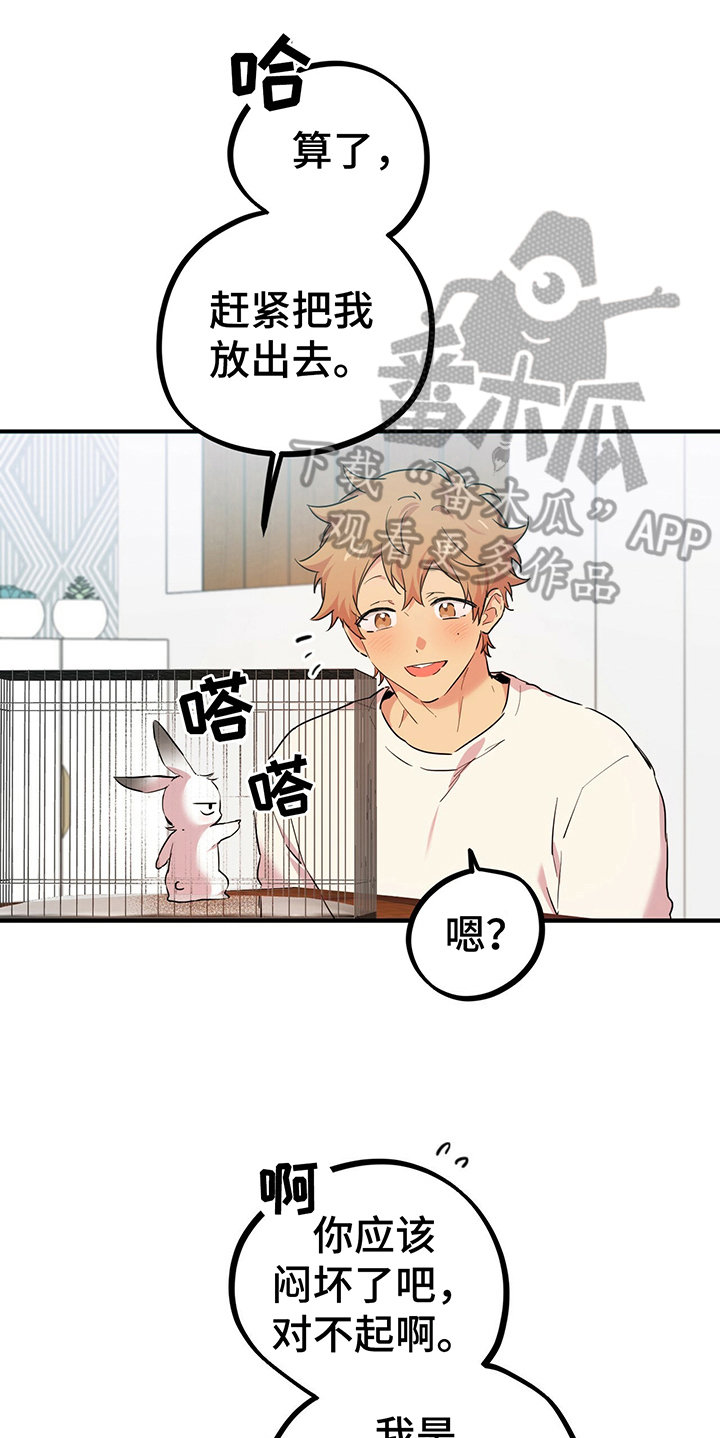 兔兔小媳妇漫画,第8章：逃跑1图
