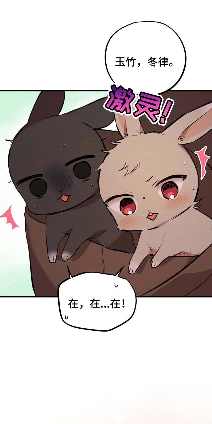 兔兔小媳妇漫画,第55章：跟我一起走吧1图