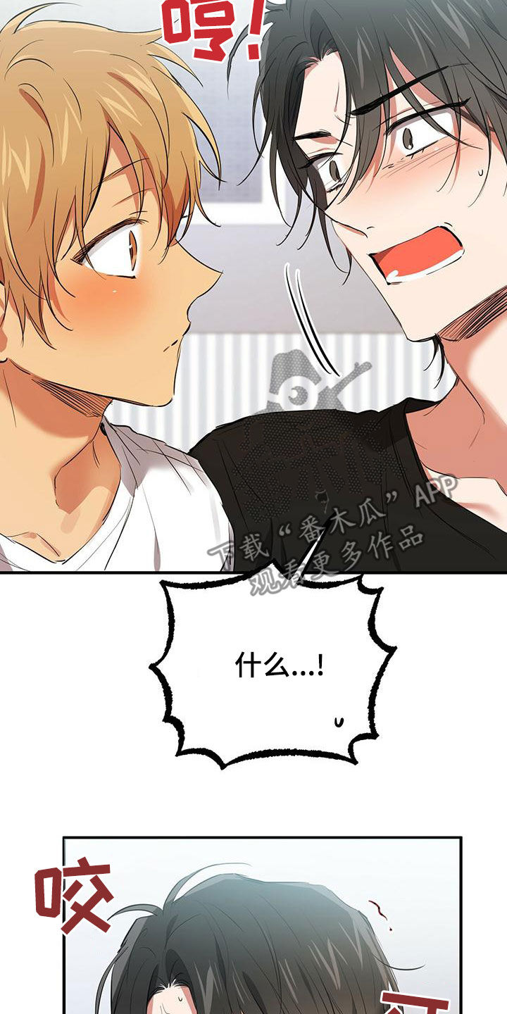 兔兔小媳妇漫画,第127章：安排2图