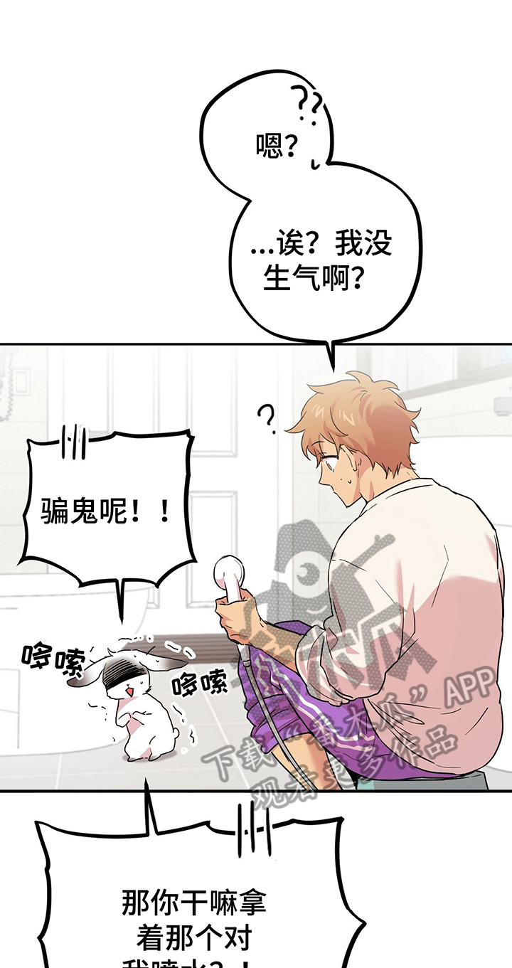 兔兔小媳妇漫画,第11章：变人1图