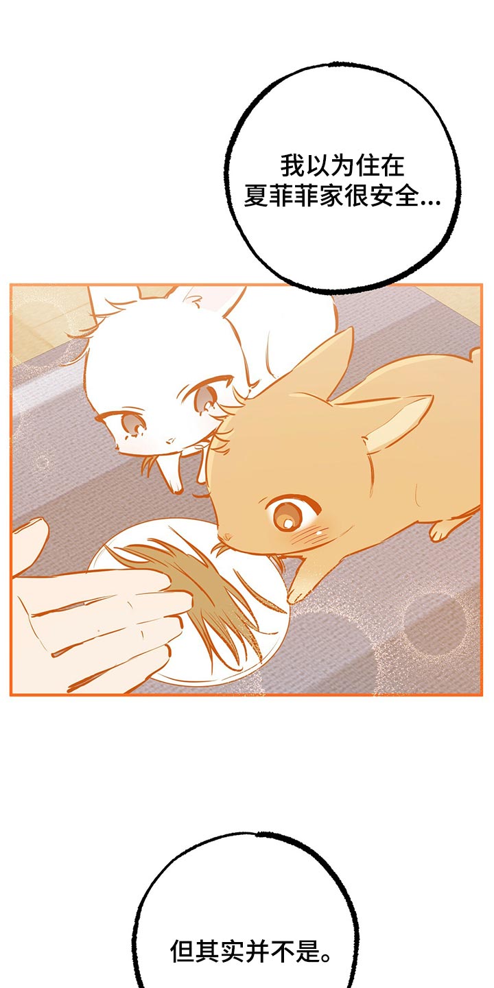 兔兔小媳妇漫画,第108章：信用卡1图