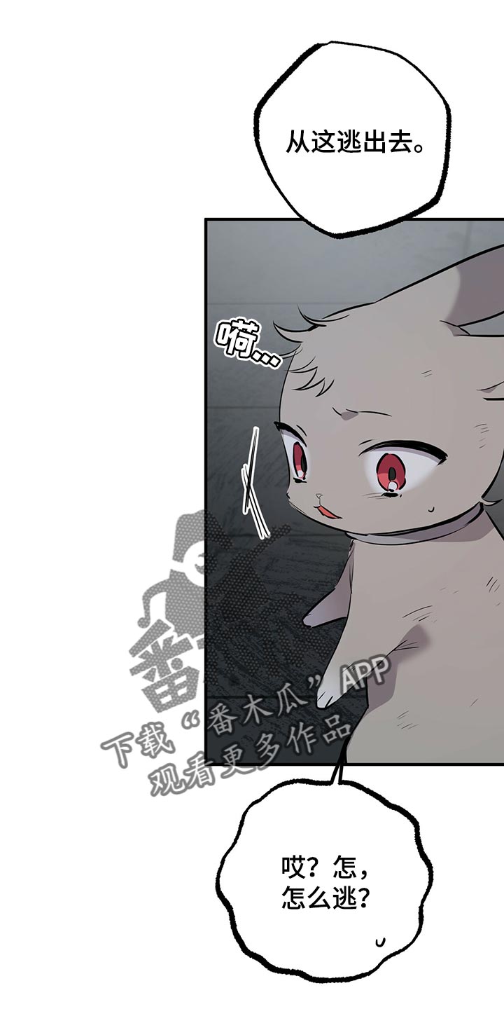 兔兔小媳妇漫画,第117章：我有个好主意1图