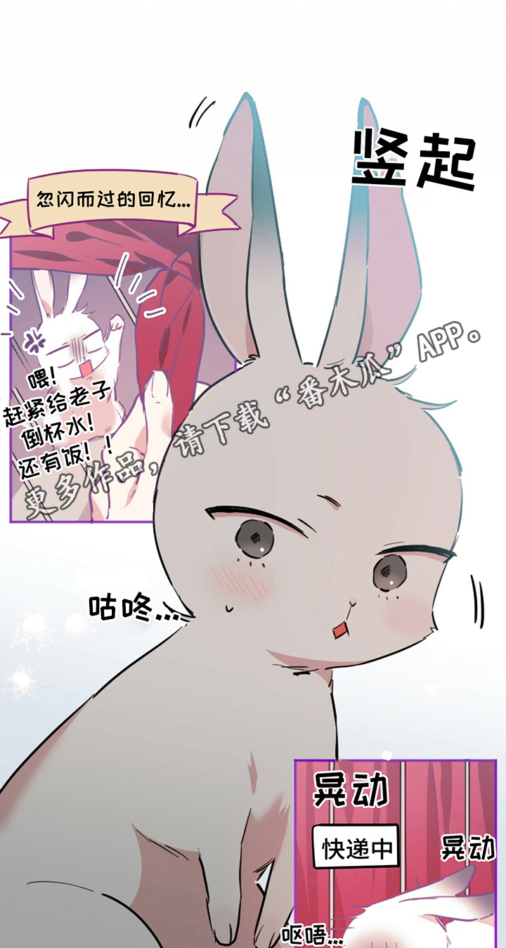 兔兔小媳妇漫画,第7章：让你幸福1图