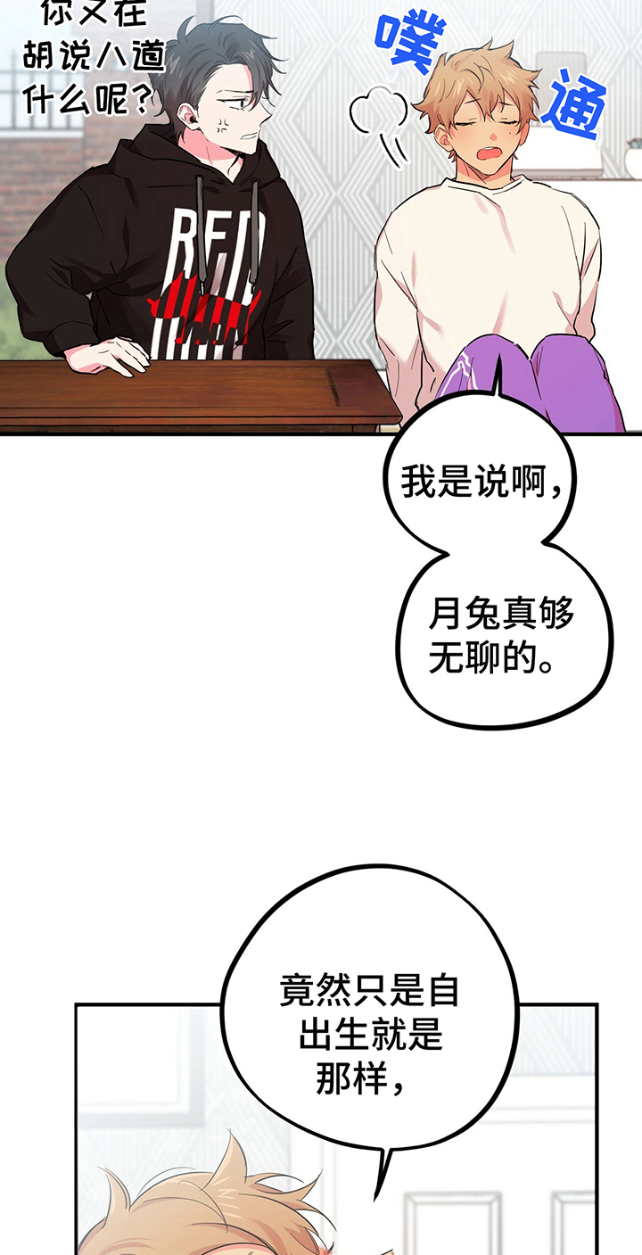 兔兔小媳妇漫画,第15章：了解2图