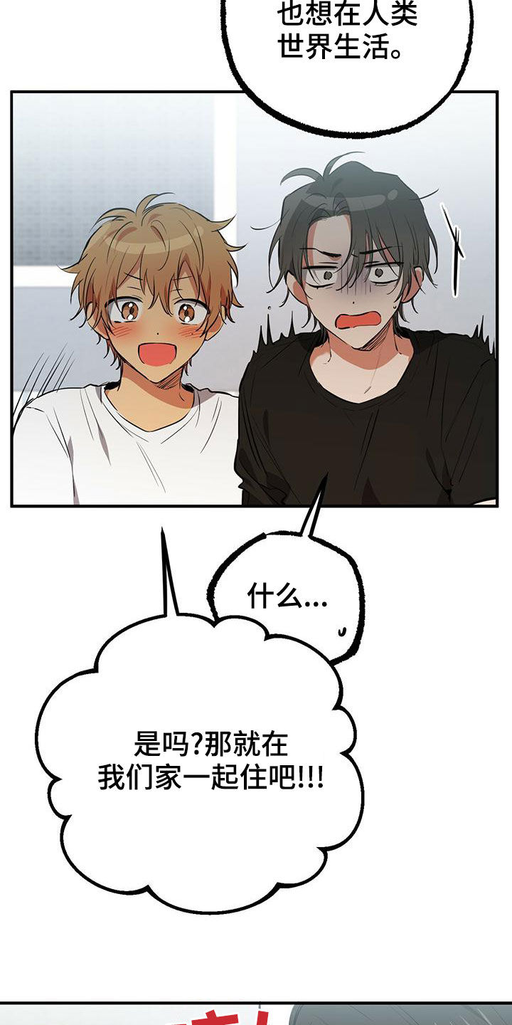 兔兔小媳妇漫画,第127章：安排1图