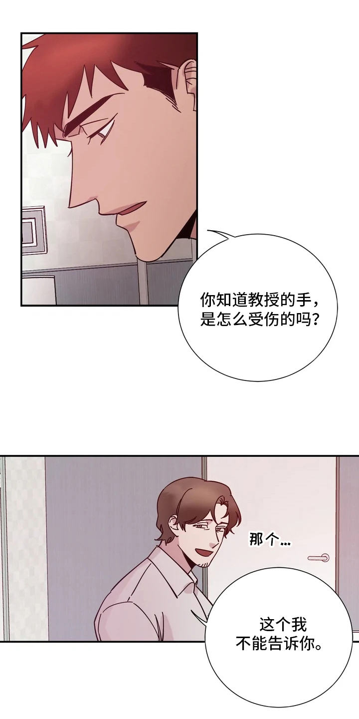 温暖的手套作文400字漫画,第14章：手2图