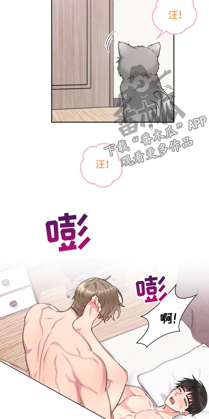 青年住客漫画,第93章：【第二季】一起确认2图