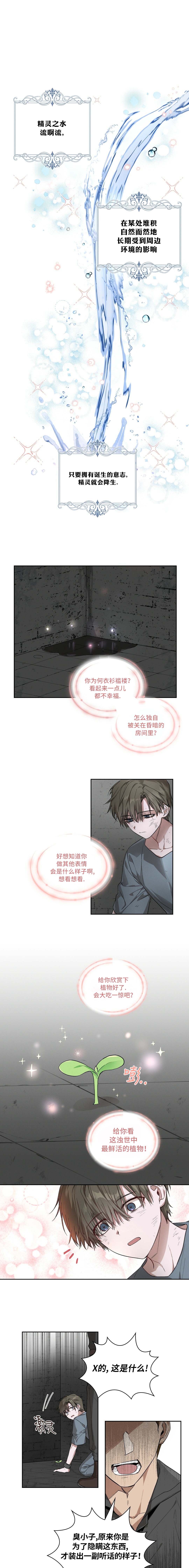 精灵小姐，请与我缔结契约漫画,宣传漫2图