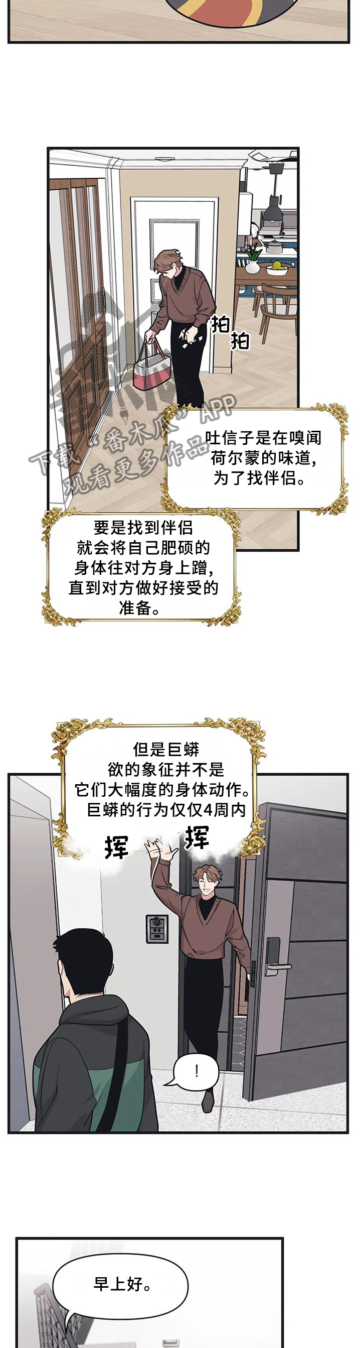 我的BJ邻居漫画,第23章：真的喜欢我吗?2图