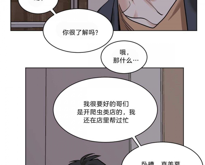 播放冷血动物漫画,第50话2图