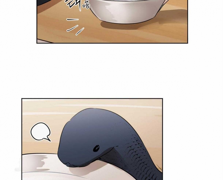 播放冷血动物漫画,第9话1图