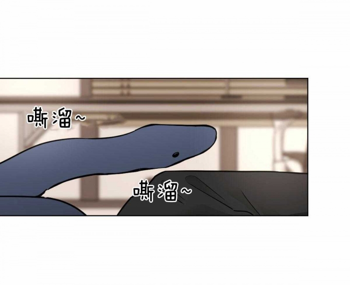冷血动物简介漫画,第30话1图