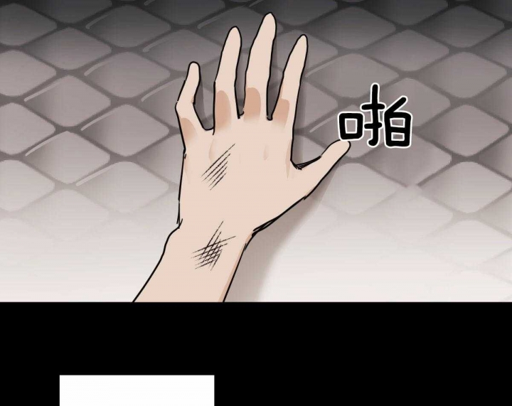 冷血动物科普漫画,第39话2图
