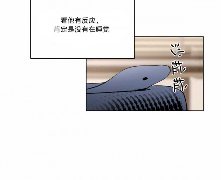 冷血动物乐队漫画,第30话1图