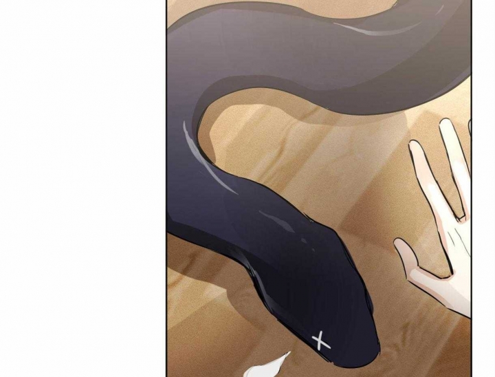 播放冷血动物漫画,第2话2图