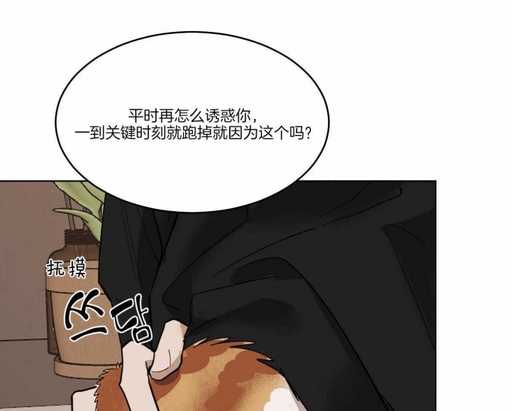 冷血动物下载漫画,第66话1图