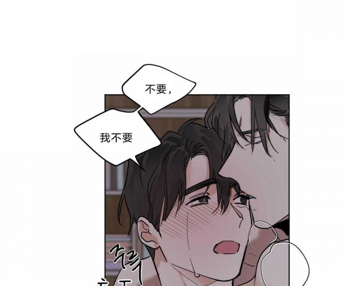 猫是冷血动物吗漫画,第48话2图