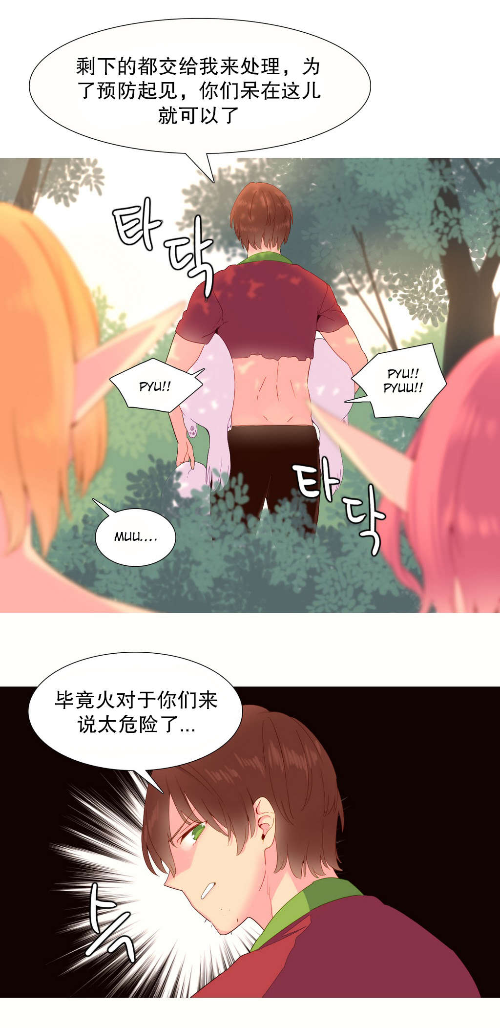 精灵小丸子漫画,第17章：意愿1图