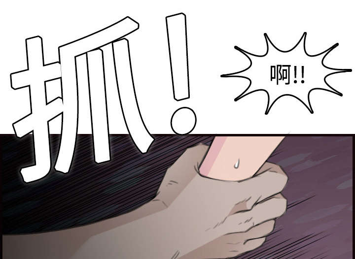 复仇之岛全集免费漫画,第14章：举报无效1图