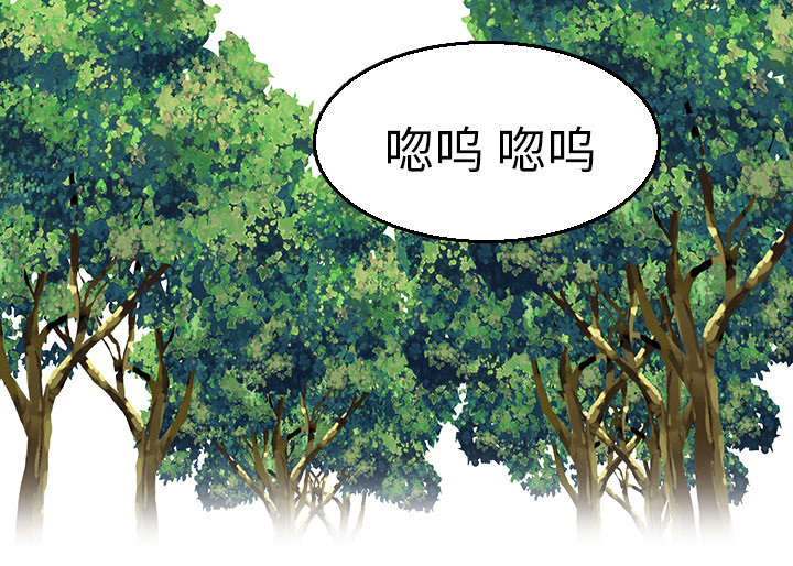 复仇之岛在线阅读漫画,第23章：丛林偶遇1图