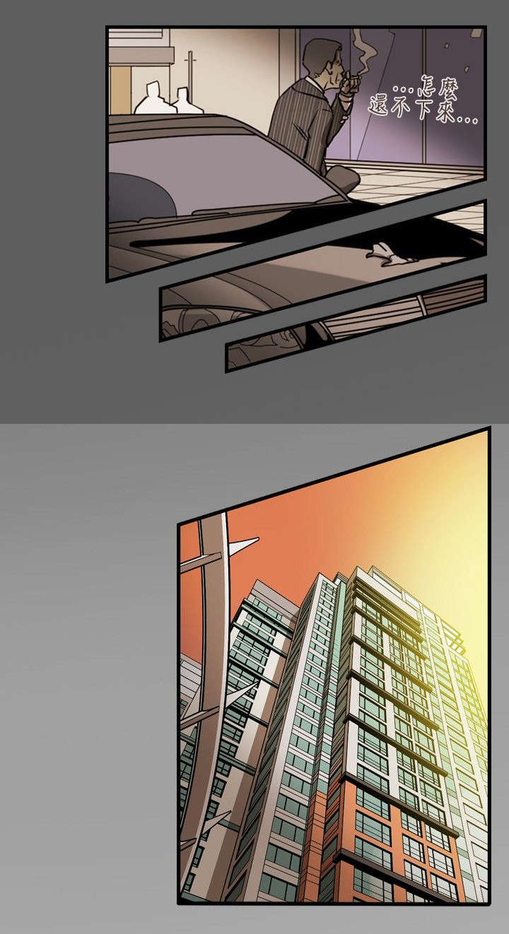 温柔的骗局漫画,第19章：上钩2图