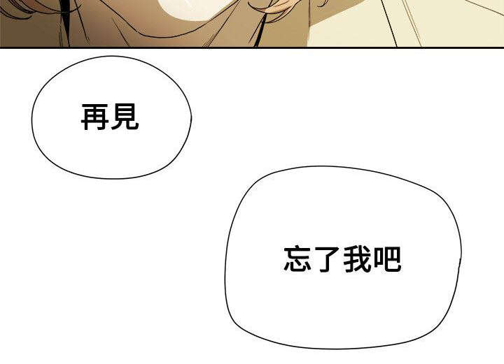 温柔的骗局全漫画完结了吗漫画,第90章：打击1图