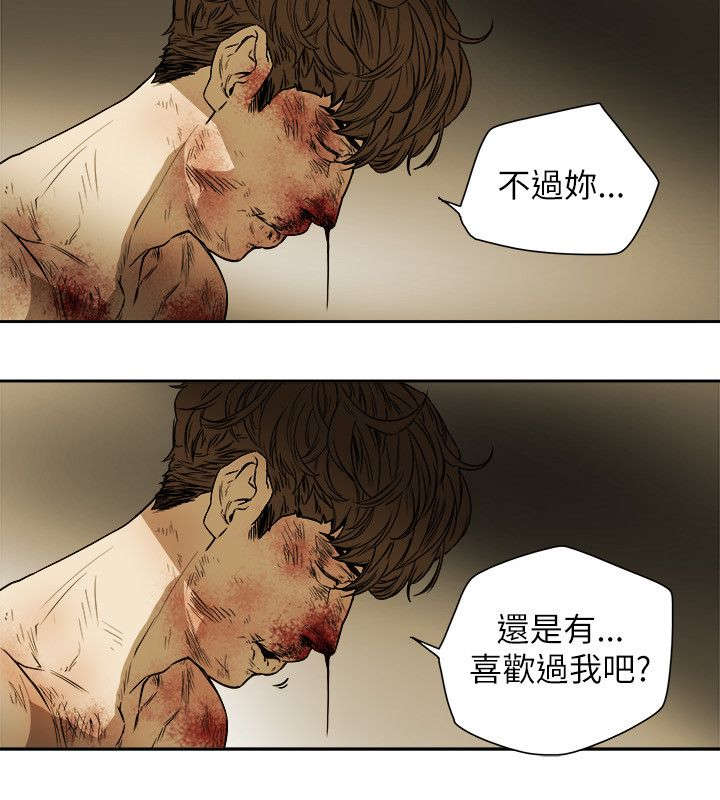 温柔的骗局全漫画完结了吗漫画,第90章：打击1图