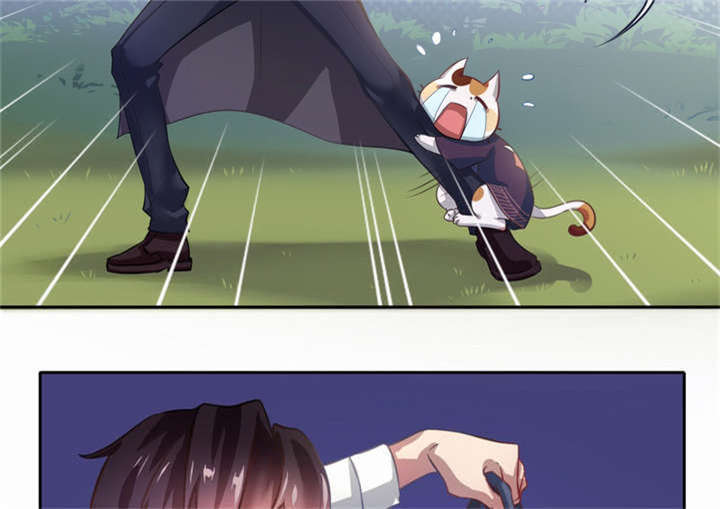 倒数七天漫画,第3章：过气明星2图
