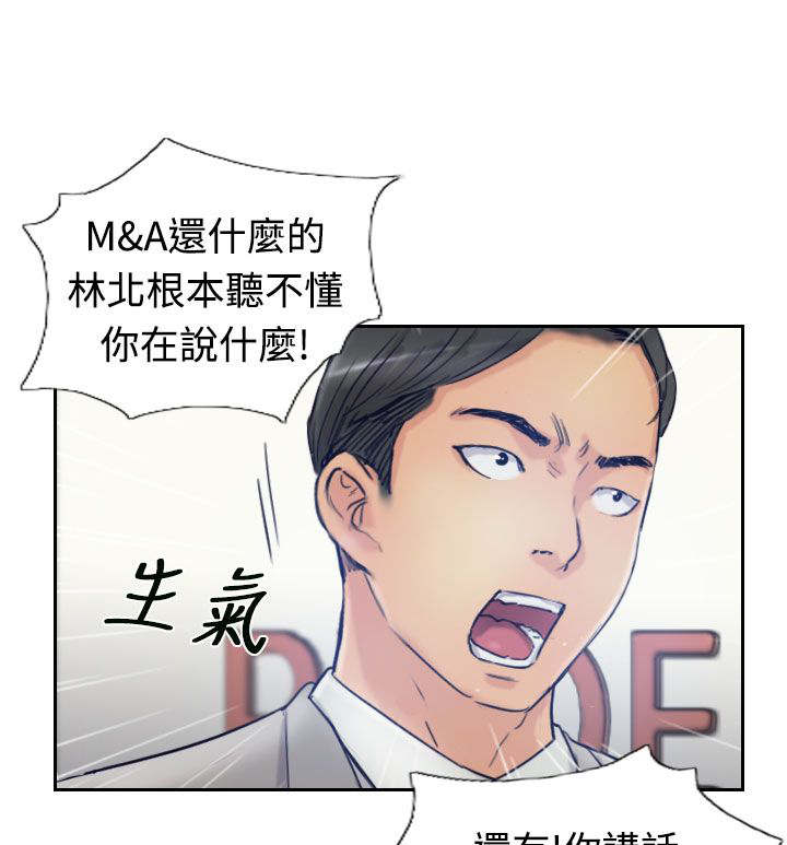 冒牌会长漫画在线阅读漫画,第28章：会议2图