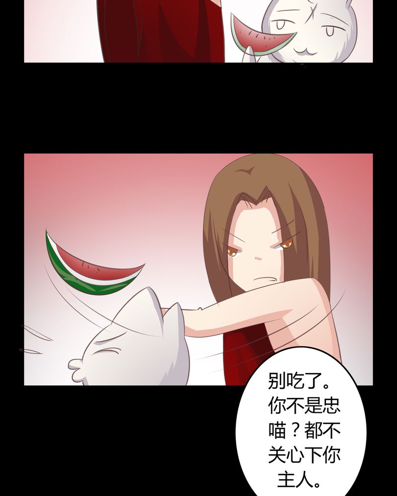 异卷风华录漫画,第14章：一醉千年1图