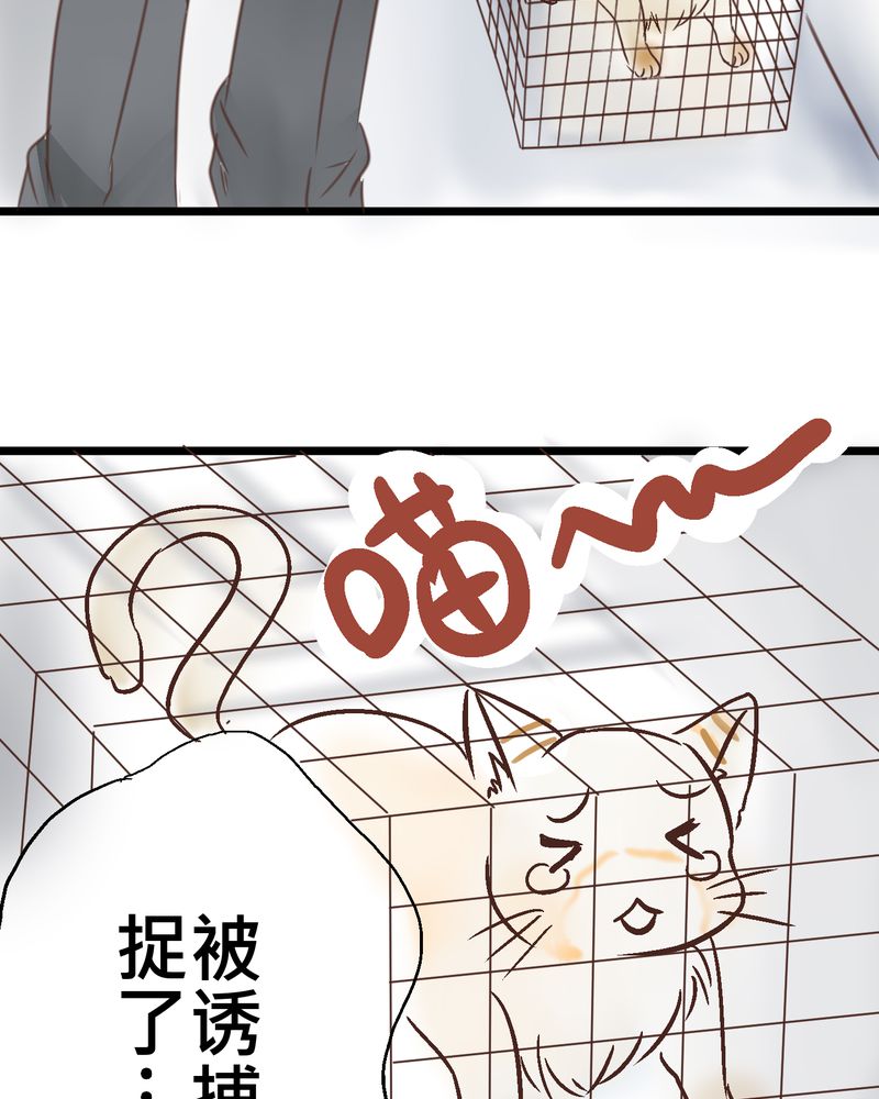 逗组词漫画,第18章：名为【感情】的花蕾1图