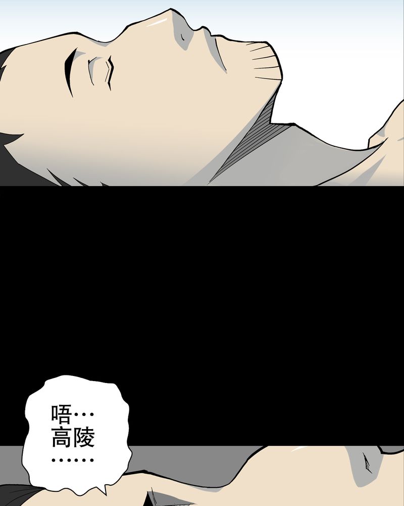 高陵县博物馆的恐龙漫画,第65章：似幻非幻2图