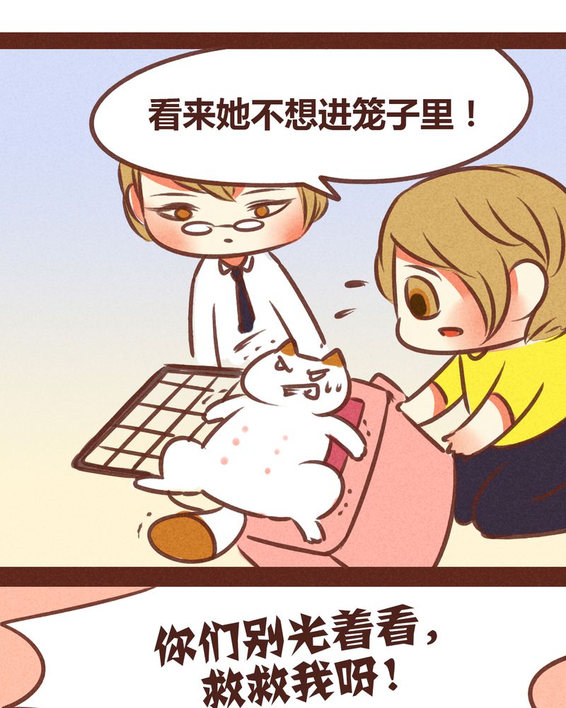 神兽退散最后怎么了漫画,第74章：1图