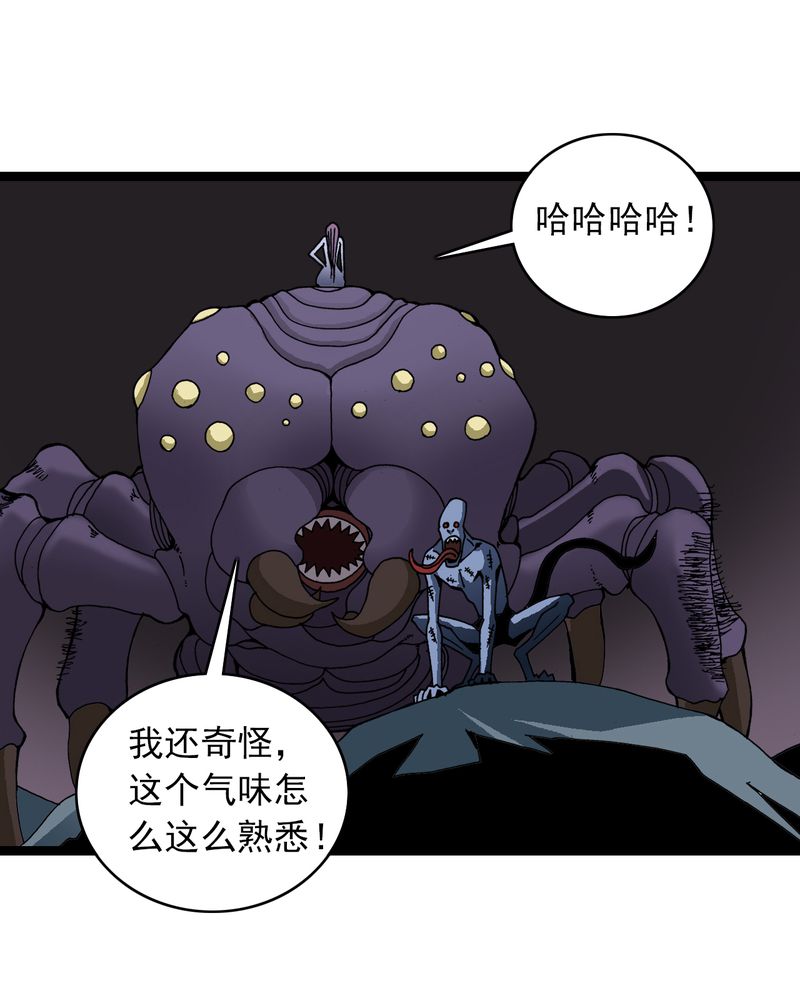 不可思议少年第二季漫画,第25章：蜘蛛与蛤蟆1图