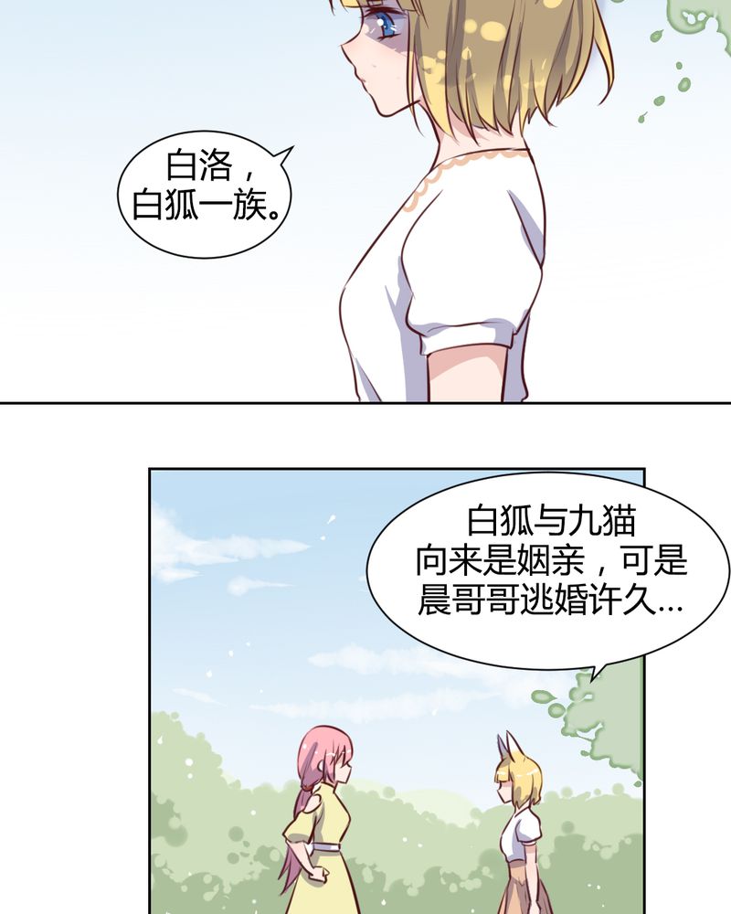 我的鬼神大人崔警官有什么秘密漫画,第58章：可爱的白狐婚约者2图