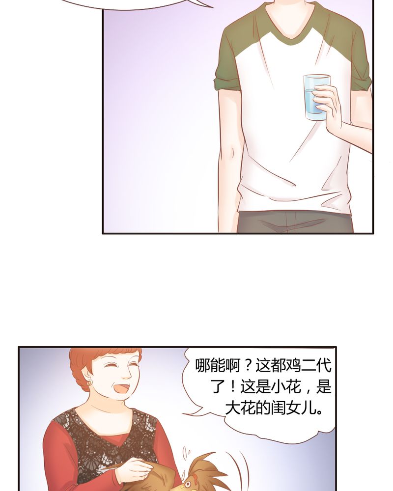 契约凤凰男漫画,第13章：远房亲戚的老母鸡1图
