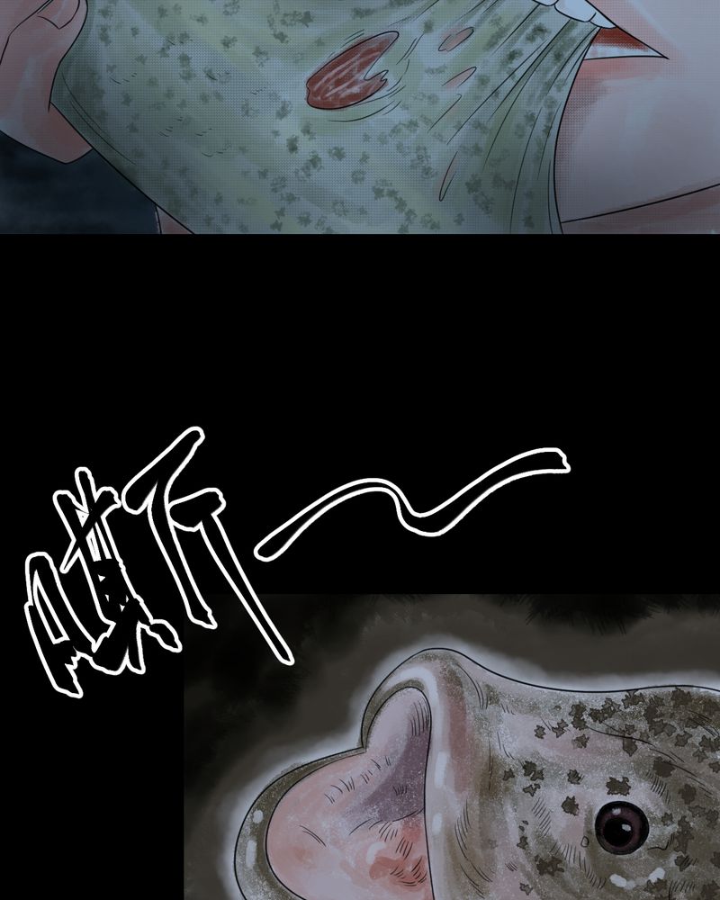 怪物猎人免费看完整版漫画,第37章：肺鱼（下）1图