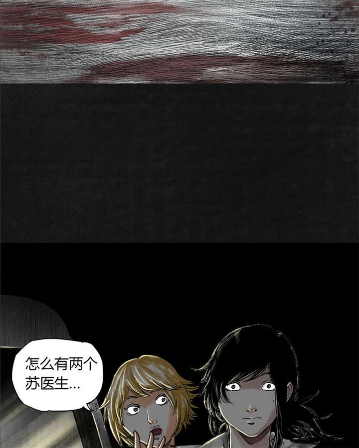 太平镇烈士陵园漫画,第24章：最终话·中篇1图