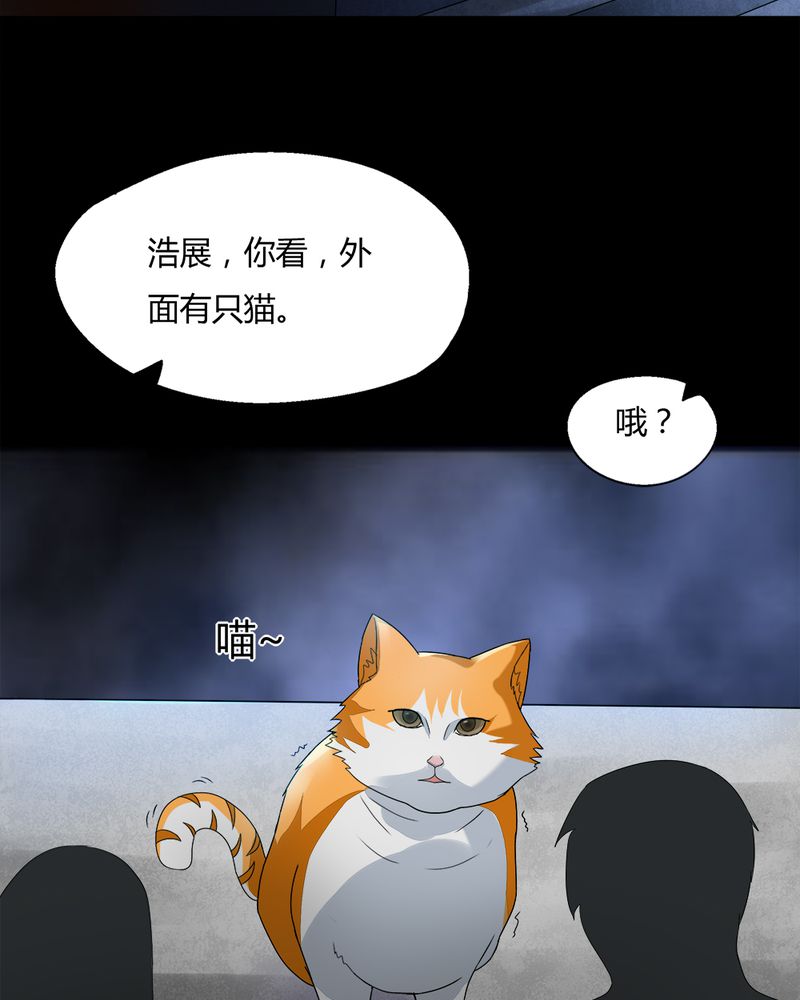 诡中有诡漫画免费下拉漫画,第68章：茹猫饮血（上）2图