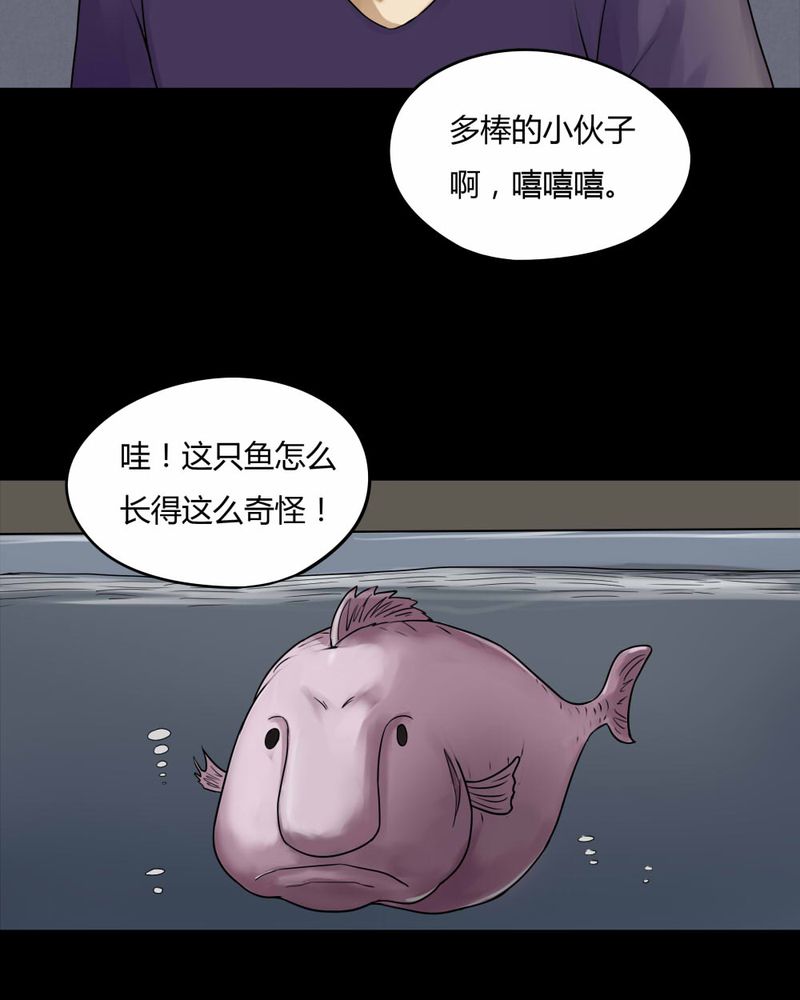 诡中有诡漫画免费下拉漫画,第66章：鱼腥不忍（上）2图