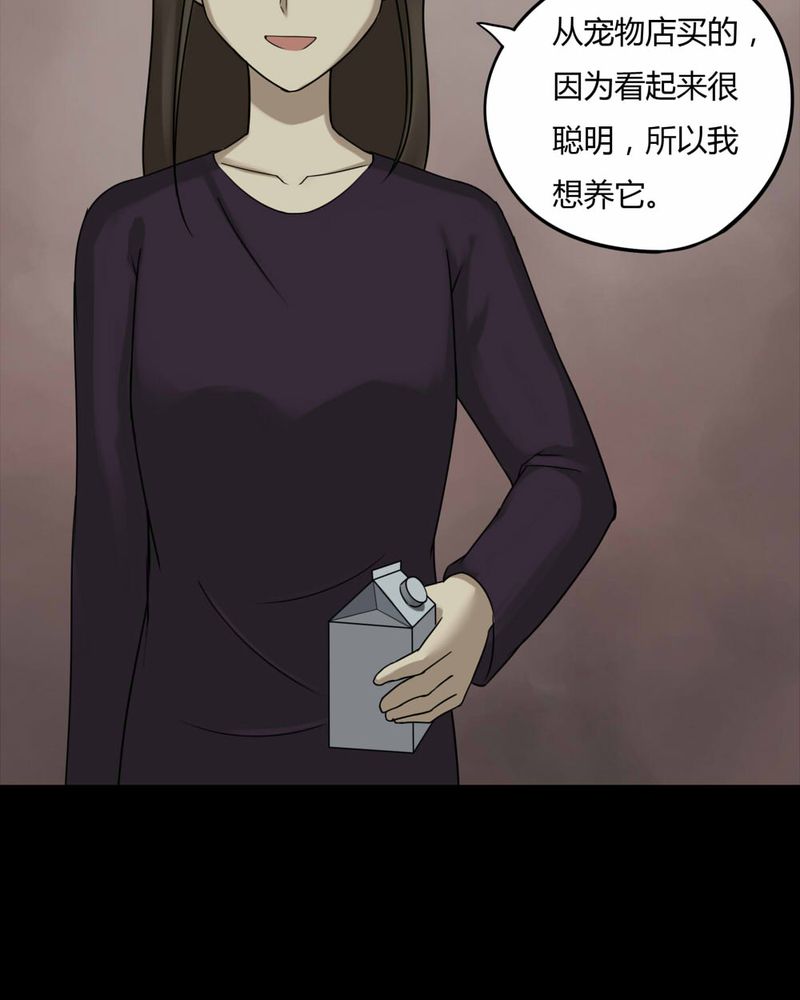 诡异灵异事件漫画,第84章：猴知猴觉（上）2图