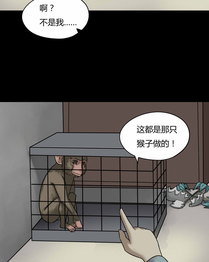 诡异灵异事件漫画,第85章：猴知猴觉（下）2图