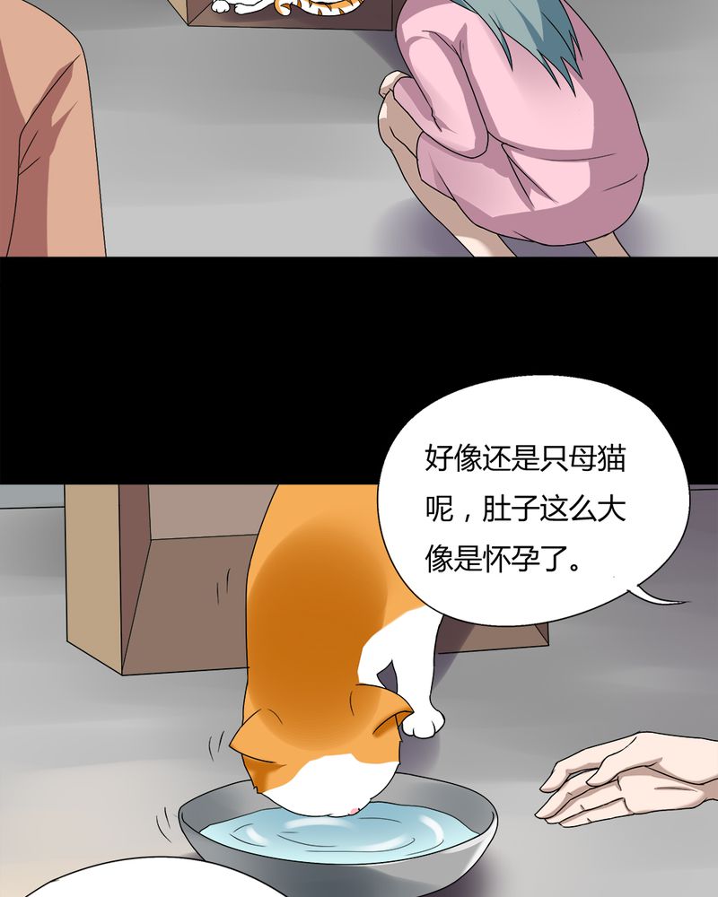 诡中有诡漫画免费下拉漫画,第68章：茹猫饮血（上）1图