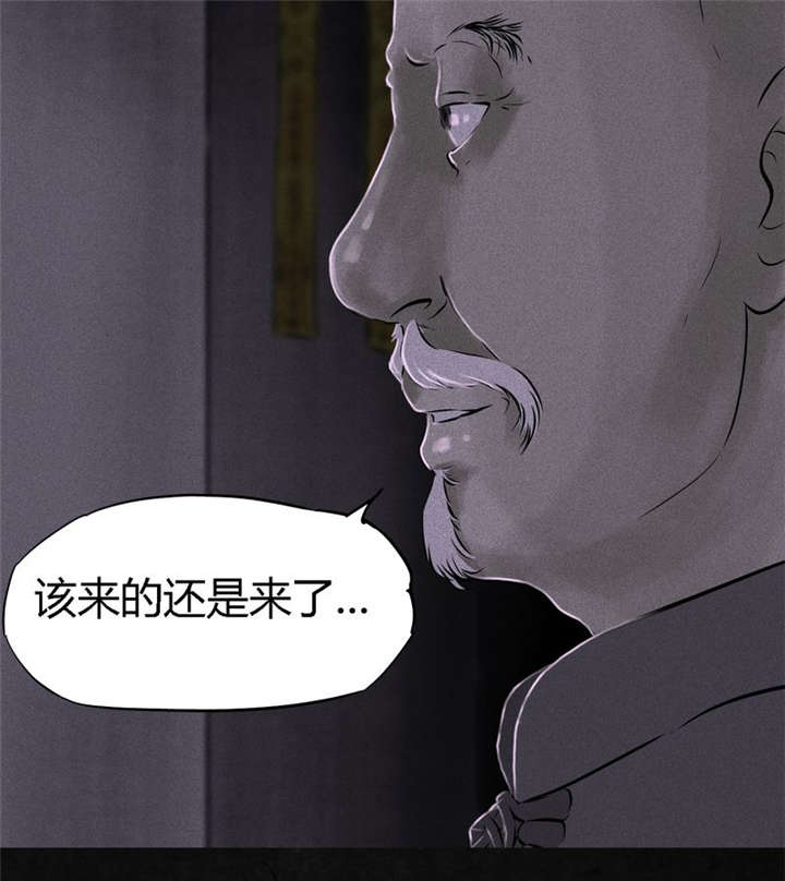 成都1995漫画,第24章：公元1862年2图